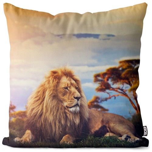 Domestic cat tiger cushion - tiger,