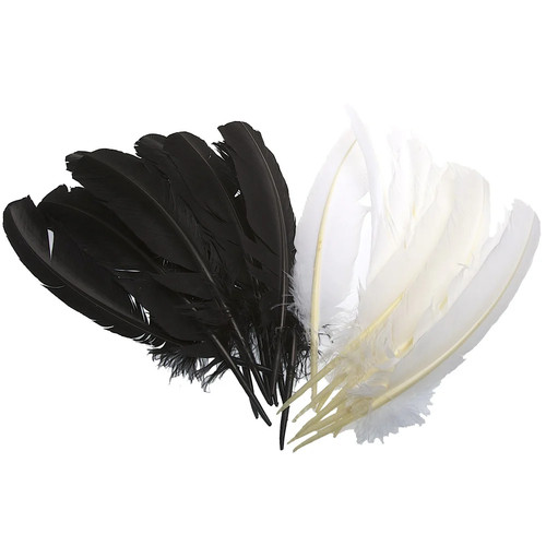 Black imitation eagle feather - imitation,