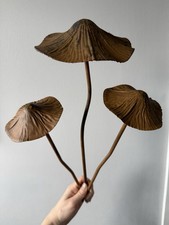 Set of 3 Large Brown Rusty