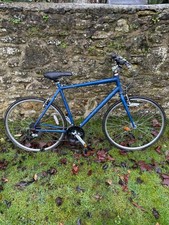 Excellent condition Ridgeback