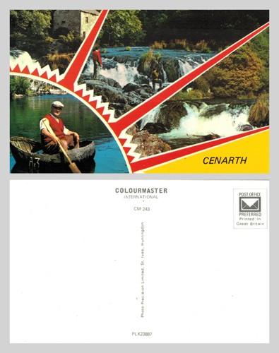 Postcard cenarth falls - postcard,