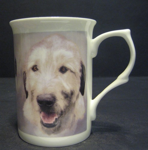 Irish wolfhound dog - fine, bone