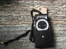 Vintage Leningrad 4 Light