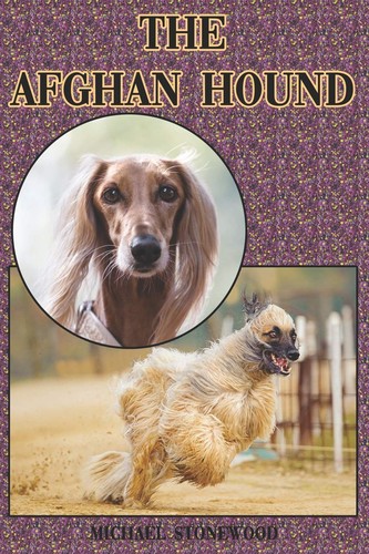The afghan hound - hound:, a