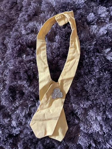 Brownies vintage neckerchief - brownies,