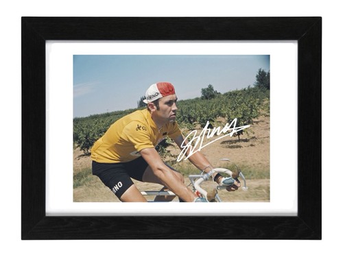 Eddy merckx signed autograph - merckx,