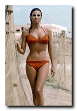 Raquel Welch Poster 24x36 Inch
