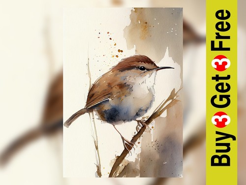Watercolor bird art - watercolor,