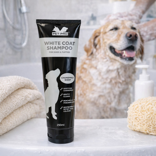 White coat shampoo - white, dogs