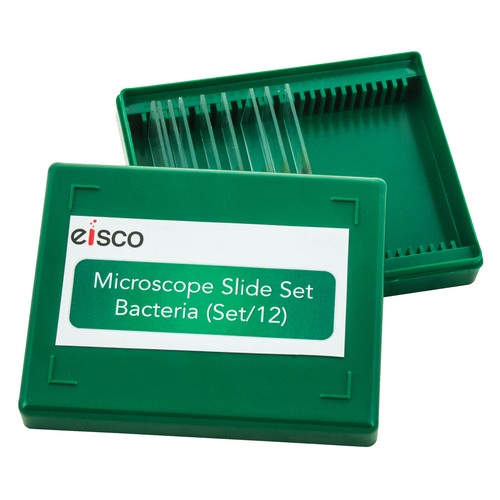 Eisco bacteria microscope - eisco,