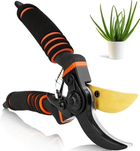Garden secateurs gardening - garden,