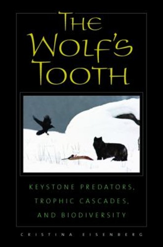 The wolf tooth keystone - the,