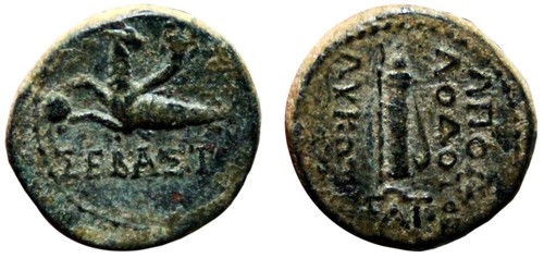 Aet trapezopolis - *aet*,