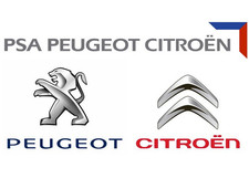 Peugeot/Citroen Wing Mudflap