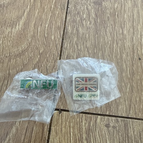 Trade union pin badge - badge,