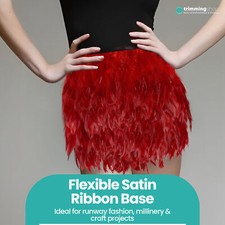 2 Metres Rooster Trim Feather