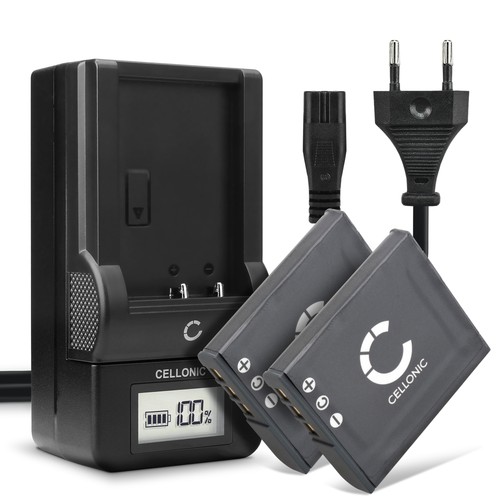 Bg1 fg1 battery lcd - np-bg1,