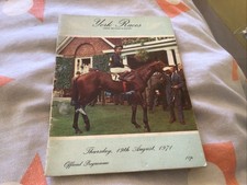 Horse racing racecard york - horse,