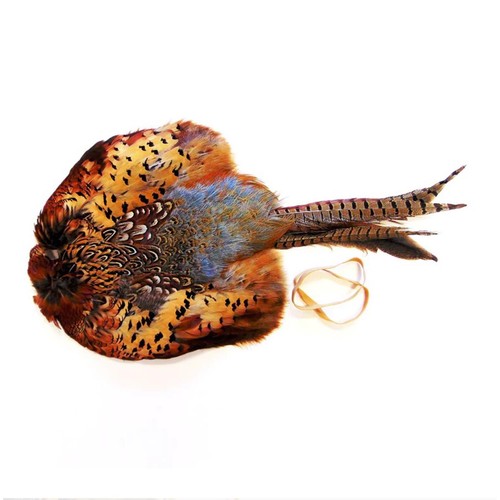 Bisley pheasant skin - bisley, pelt