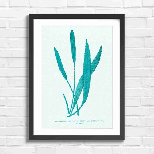 Botanical vintage fern - botanical,