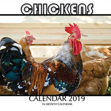 Chickens Calendar 2019: 16