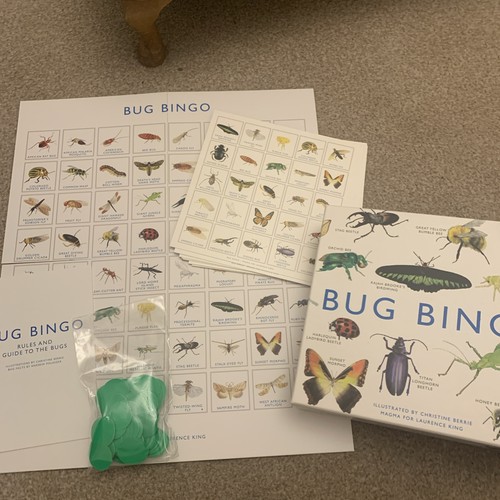 Bug bingo board game - bingo,