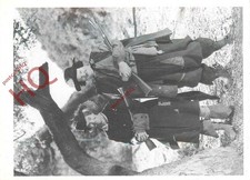 Picture Postcard:;Stan Laurel