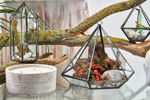 Glass terrarium large - -,