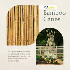 Bamboo Cane Heavy Duty Garden Canes Thick Quality Veg Flower Plant Support Stake