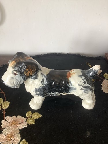Crown devon dog - crown,