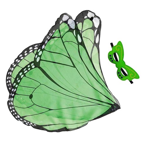Butterfly wing costume photo - wing,