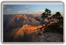 Grand Canyon Fridge Magnet 01