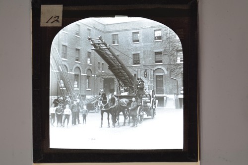 Horse drawn fire engine - horse,