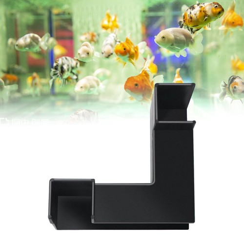 Corner fish tank - fish, decoration