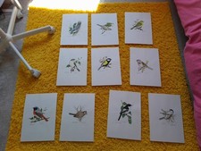 Original Watercolor Painting Birds Painting Bird Set of 10