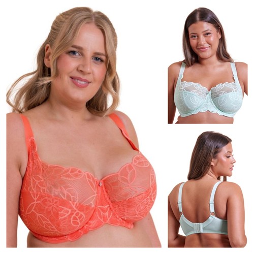 Curvy kate lovelace - curvy,