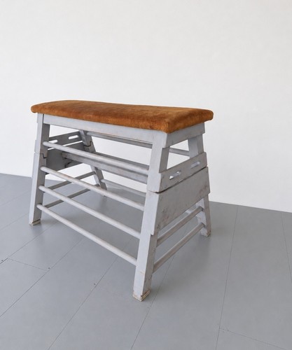 Vintage gymnastics vaulting - vintage,