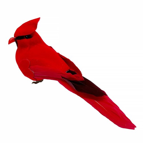 Red cardinal realistic - cardinal,