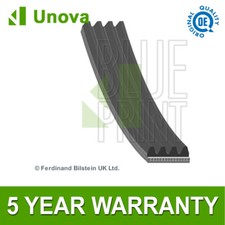 Power Steering Belt Unova Fits