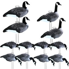 Silhouette Canada Goose Decoy