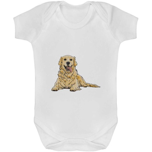 Golden retriever baby grow - grow, /
