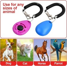 Pet Puppy School Training
