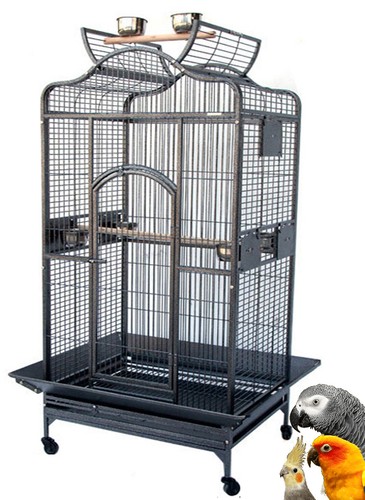 Extra large bird parrot - extra,