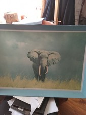 The Wise Old Elephant A Print By David Shephard