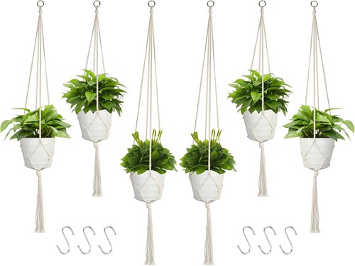 Macrame plant hanger pack - plant,