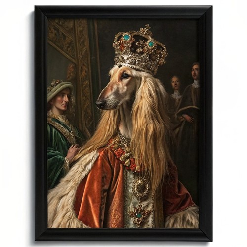 Regal afghan hound - hound, portrait