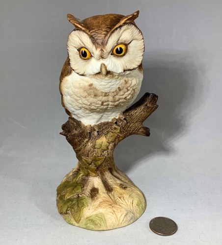John anysley scops owl - scops,