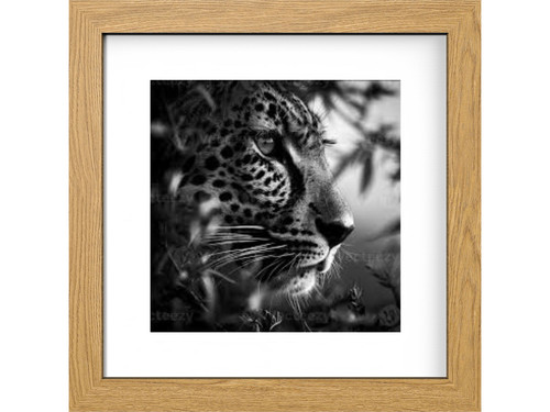 Square photo frames with white - photo,