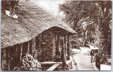Chepstow Vintage Postcard Moss