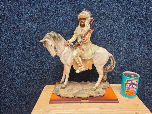 Native american indian chief - indian,